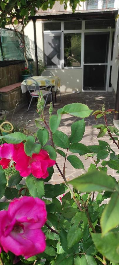 Apartma Marinka ไพราน ภายนอก รูปภาพ