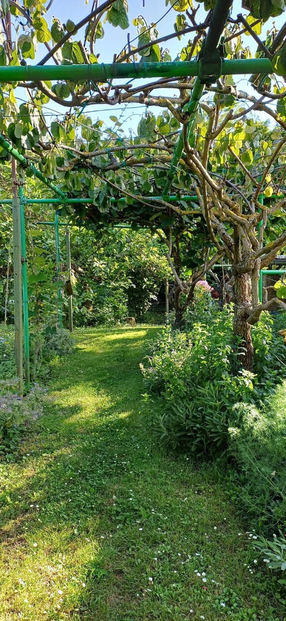 Apartma Marinka ไพราน ภายนอก รูปภาพ